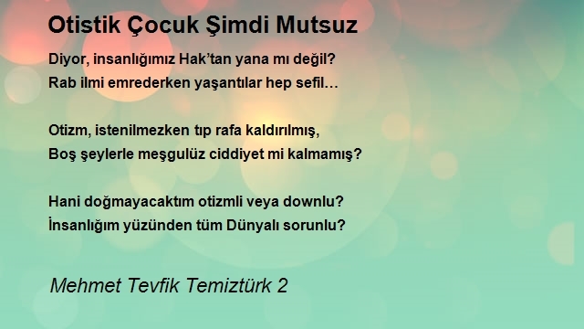 Mehmet Tevfik Temiztürk 2