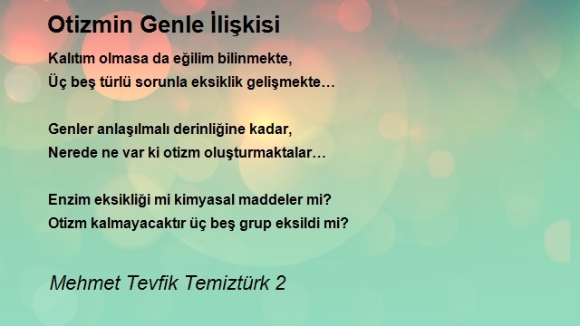 Mehmet Tevfik Temiztürk 2