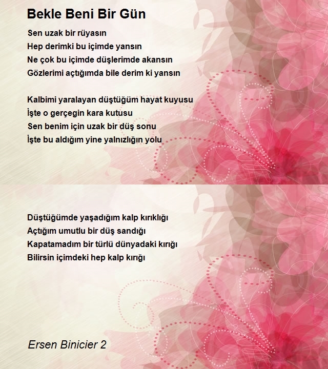 Ersen Binicier 2