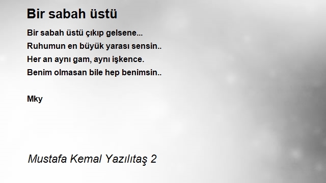 Mustafa Kemal Yazılıtaş 2