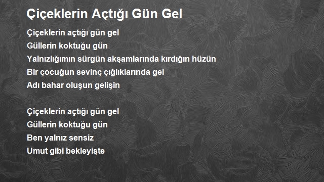 Ersen Binicier 2