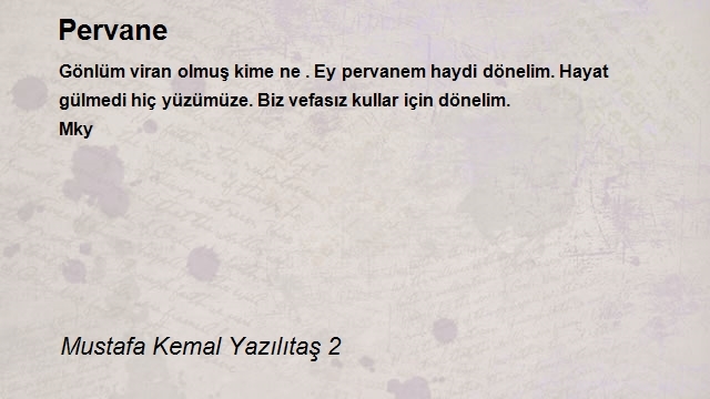 Mustafa Kemal Yazılıtaş 2