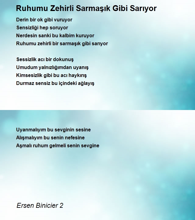 Ersen Binicier 2