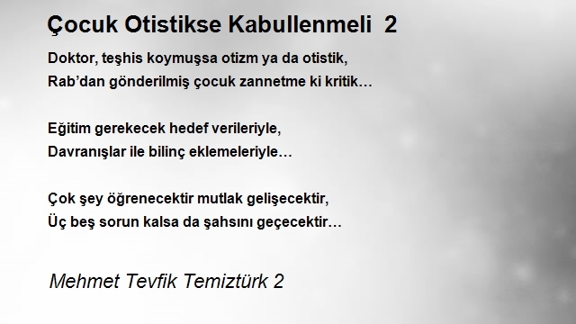 Mehmet Tevfik Temiztürk 2