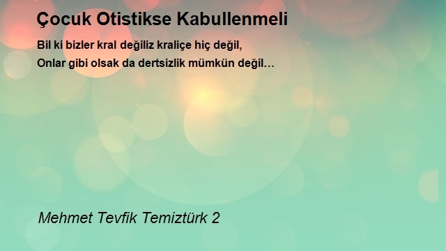 Mehmet Tevfik Temiztürk 2