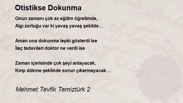 Mehmet Tevfik Temiztürk 2