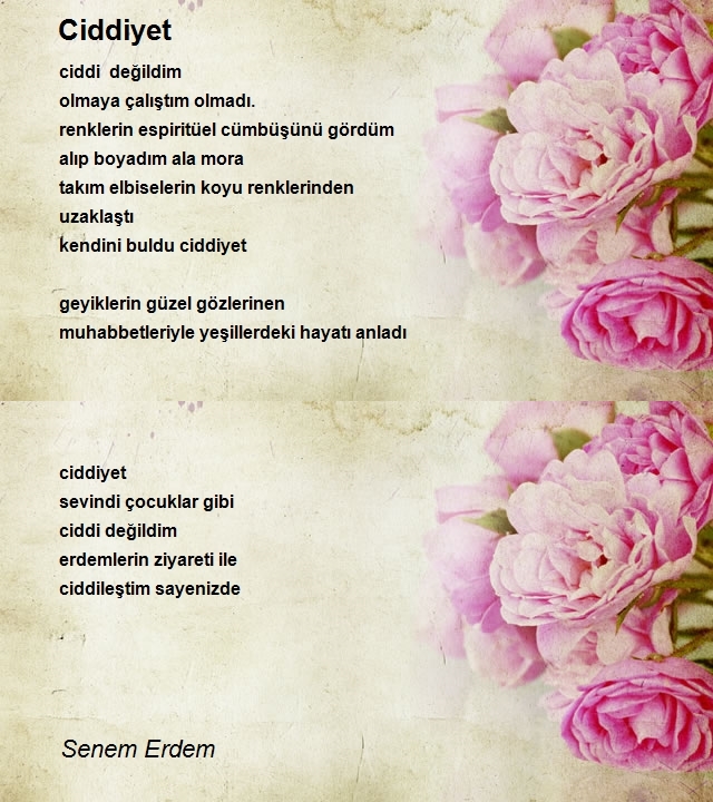 Senem Erdem