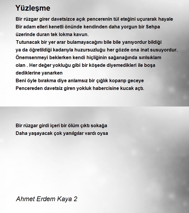 Ahmet Erdem Kaya 2