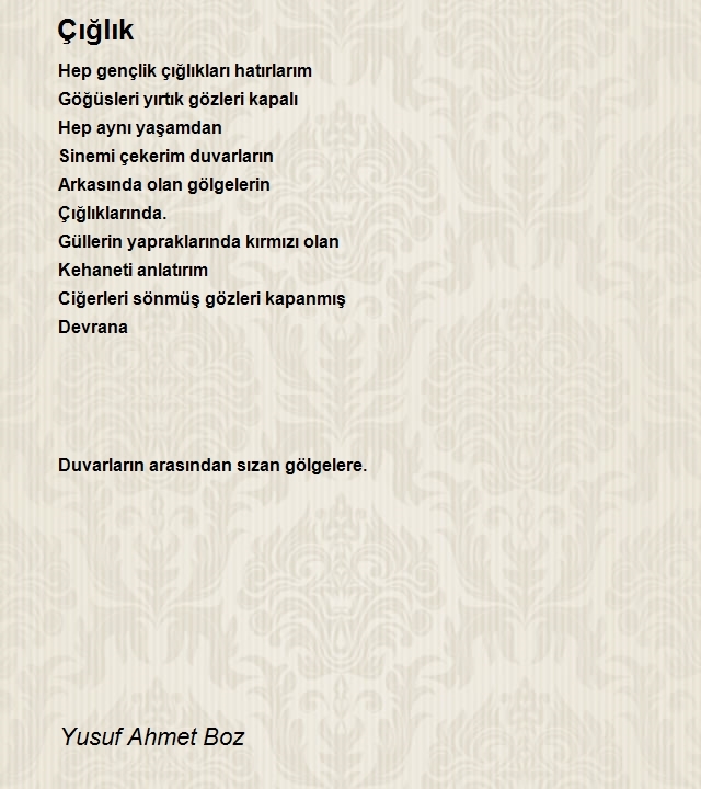 Yusuf Ahmet Boz