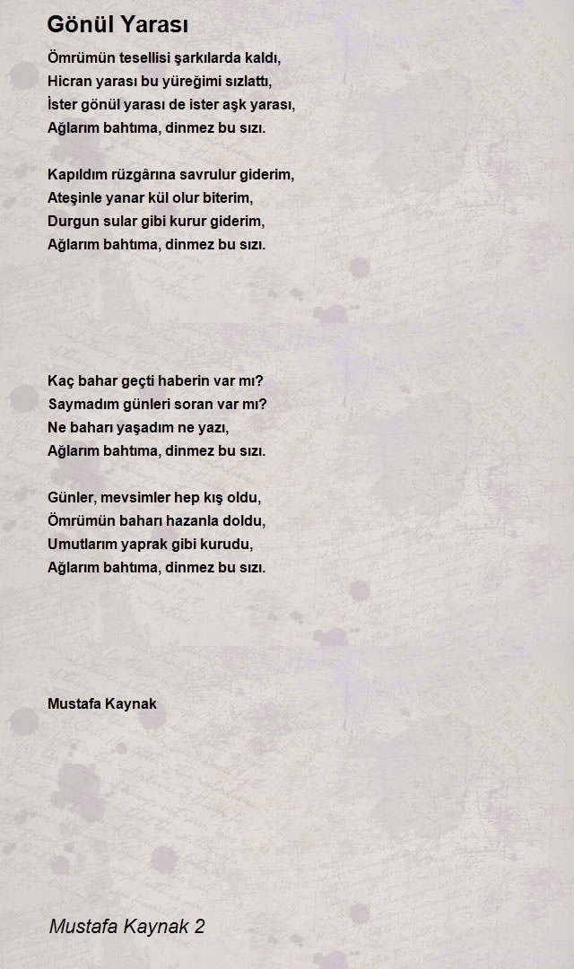 Mustafa Kaynak 2