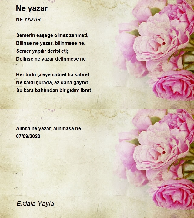 Erdala Yayla