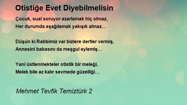 Mehmet Tevfik Temiztürk 2