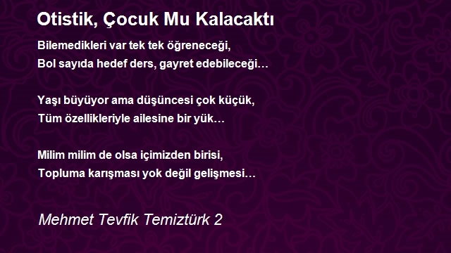 Mehmet Tevfik Temiztürk 2