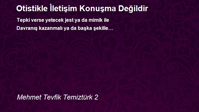 Mehmet Tevfik Temiztürk 2