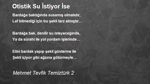 Mehmet Tevfik Temiztürk 2