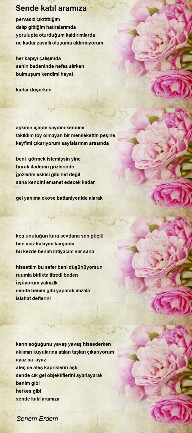 Senem Erdem