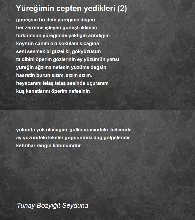 Tunay Bozyiğit Seyduna