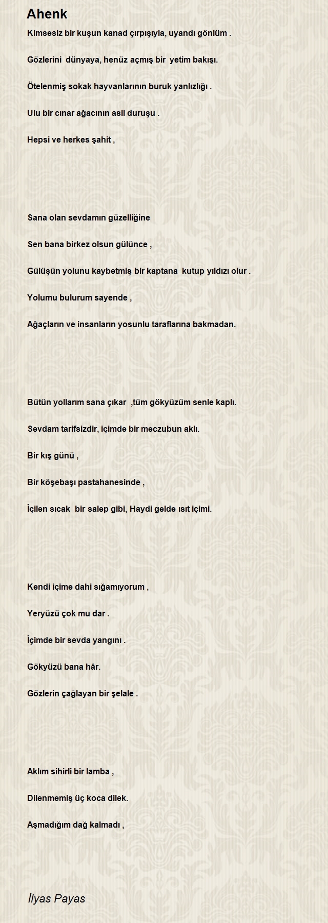 İlyas Payas