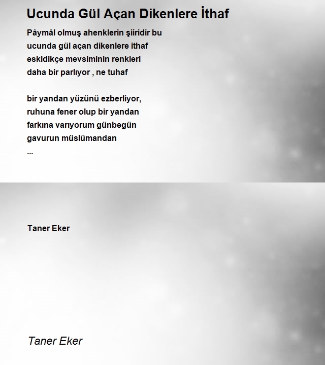 Taner Eker