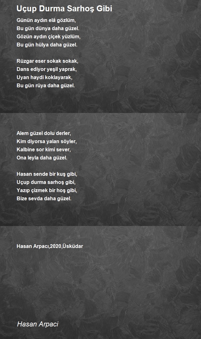 Hasan Arpaci