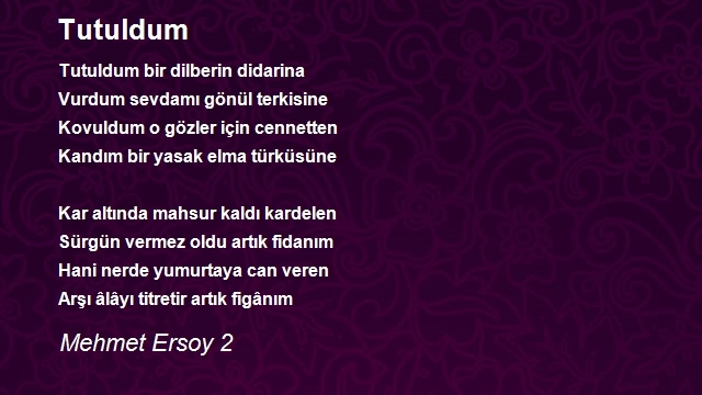 Mehmet Ersoy 2