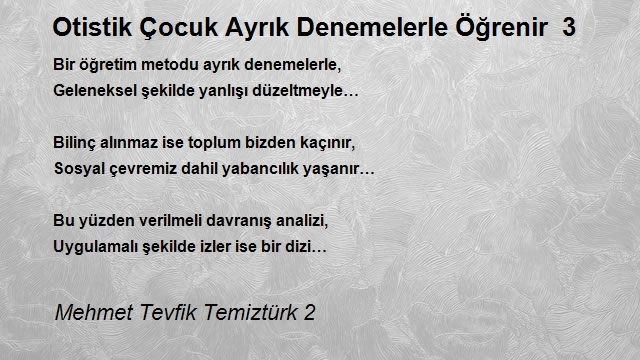 Mehmet Tevfik Temiztürk 2