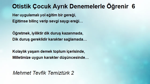 Mehmet Tevfik Temiztürk 2