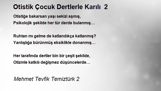 Mehmet Tevfik Temiztürk 2