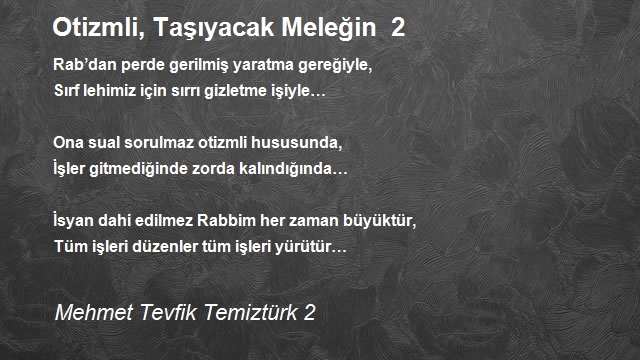 Mehmet Tevfik Temiztürk 2