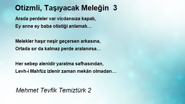 Mehmet Tevfik Temiztürk 2