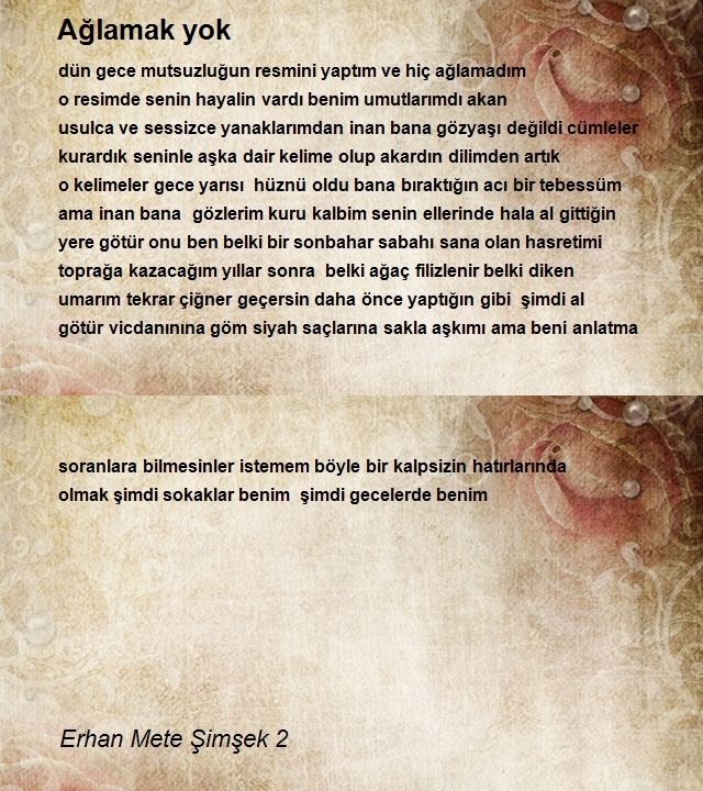 Erhan Mete Şimşek 2