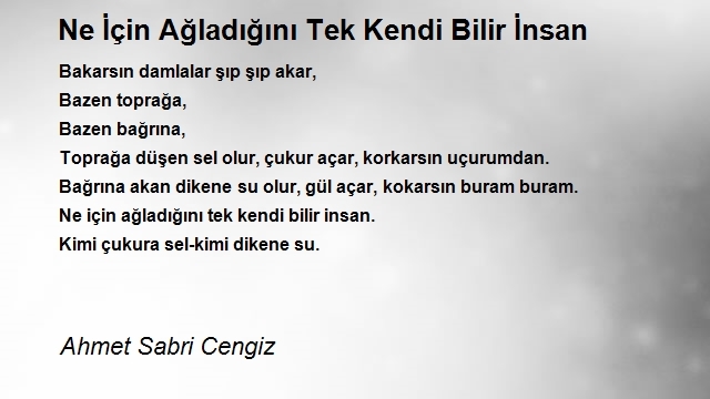 Ahmet Sabri Cengiz