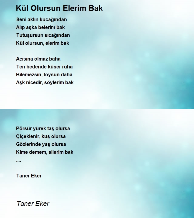 Taner Eker