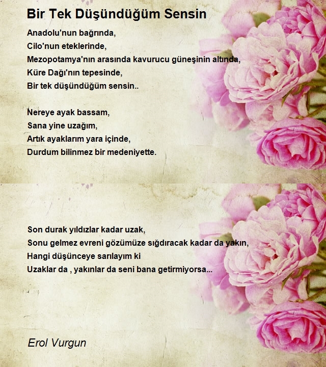 Erol Vurgun