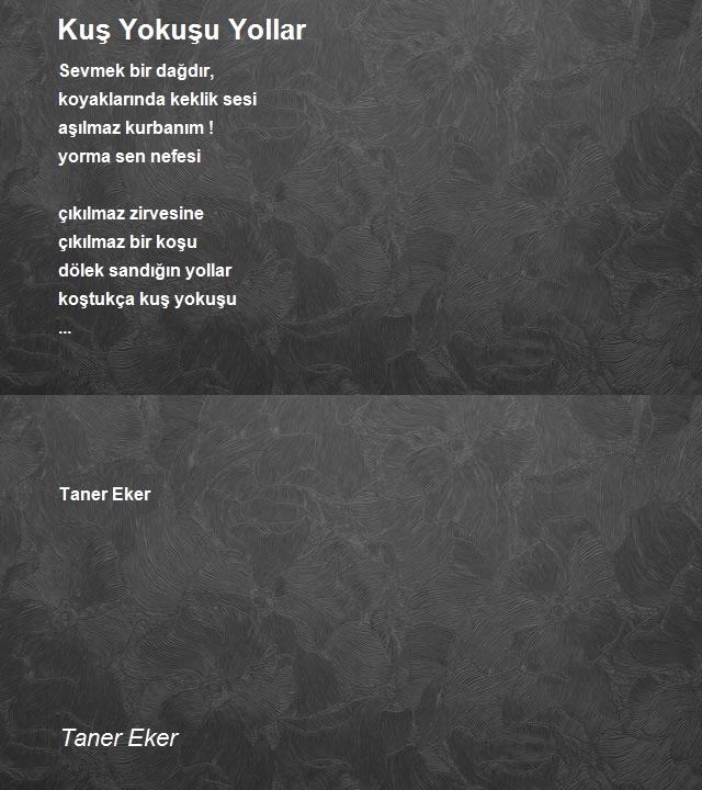 Taner Eker