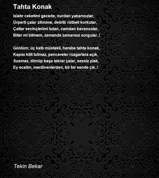 Tekin Bekar