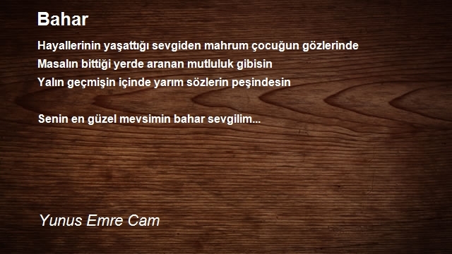 Yunus Emre Cam