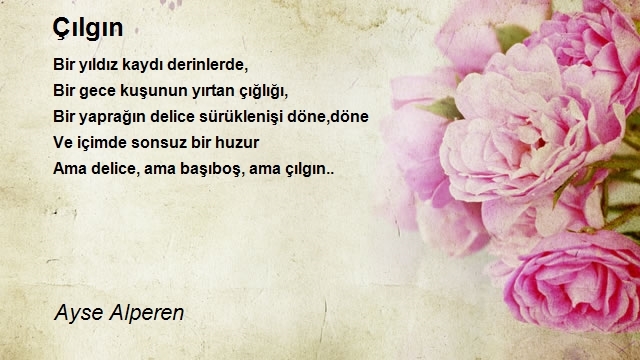 Ayse Alperen