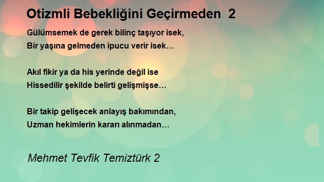 Mehmet Tevfik Temiztürk 2