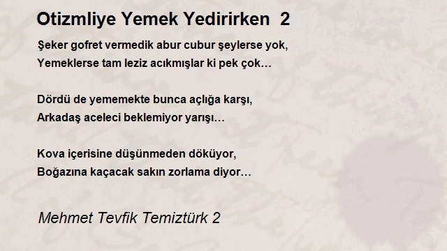 Mehmet Tevfik Temiztürk 2