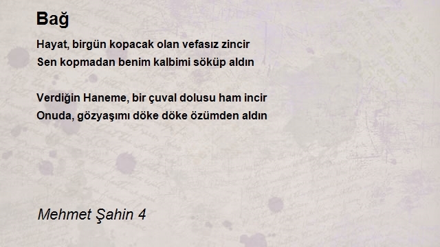 Mehmet Şahin 4