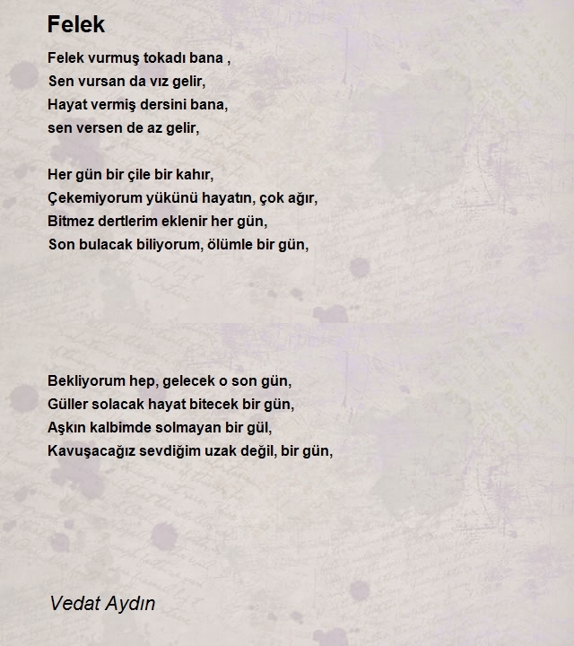 Vedat Aydın