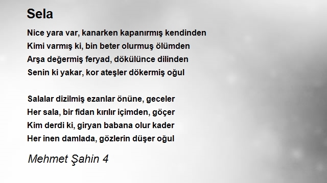 Mehmet Şahin 4