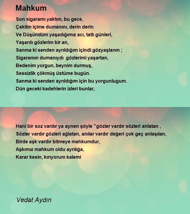 Vedat Aydın