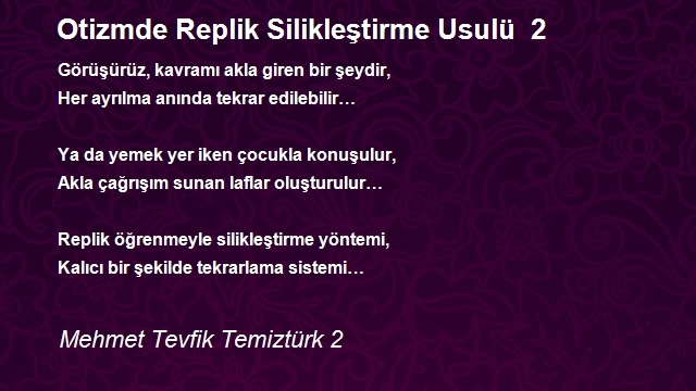 Mehmet Tevfik Temiztürk 2