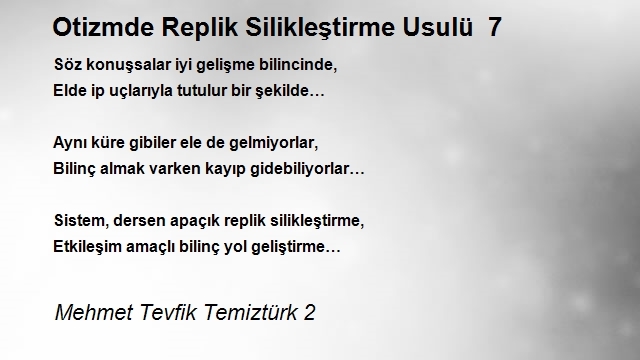 Mehmet Tevfik Temiztürk 2