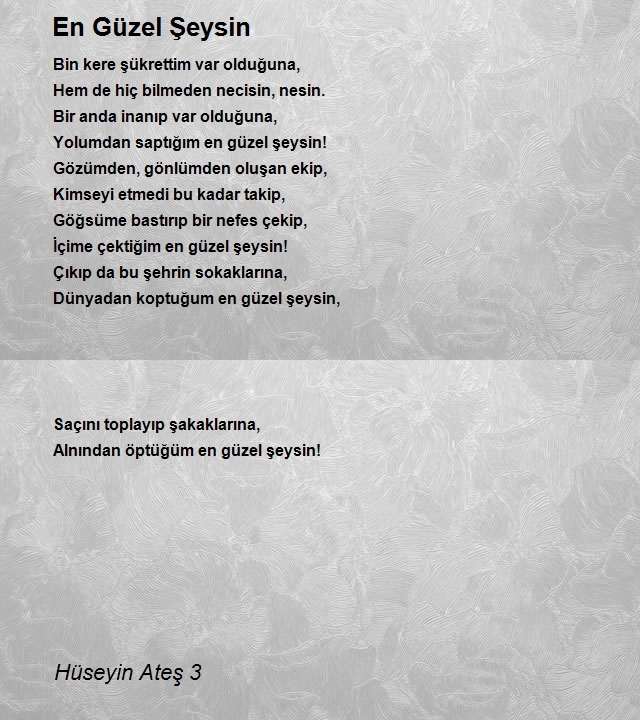 Hüseyin Ateş 3