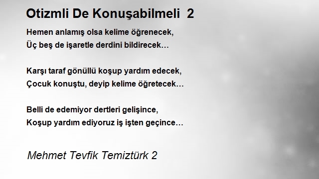 Mehmet Tevfik Temiztürk 2