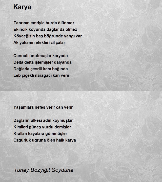 Tunay Bozyiğit Seyduna