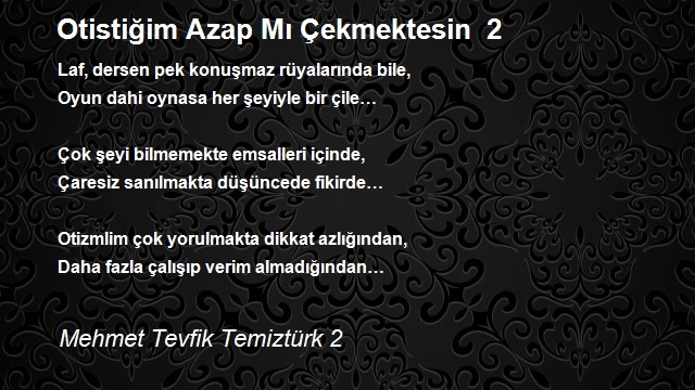 Mehmet Tevfik Temiztürk 2